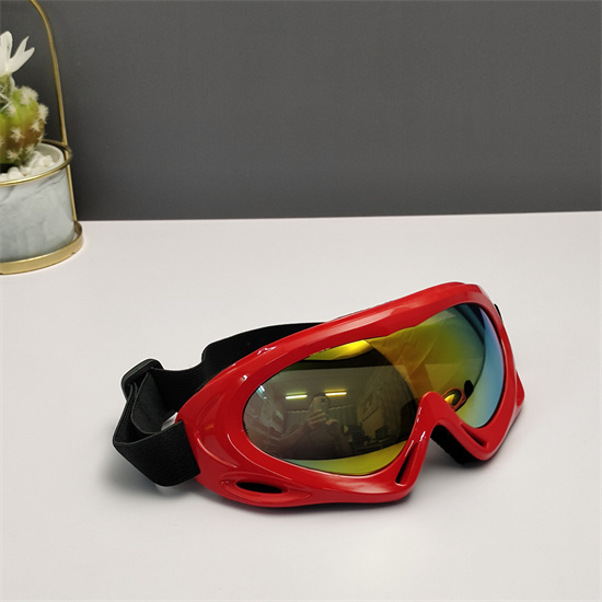 Oakley Ski Goggles 016